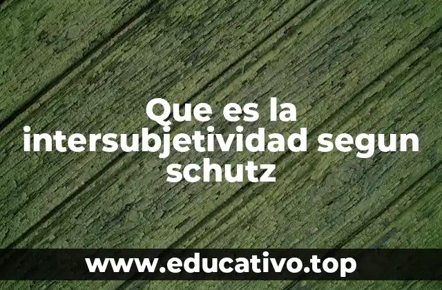 Que es la intersubjetividad segun schutz