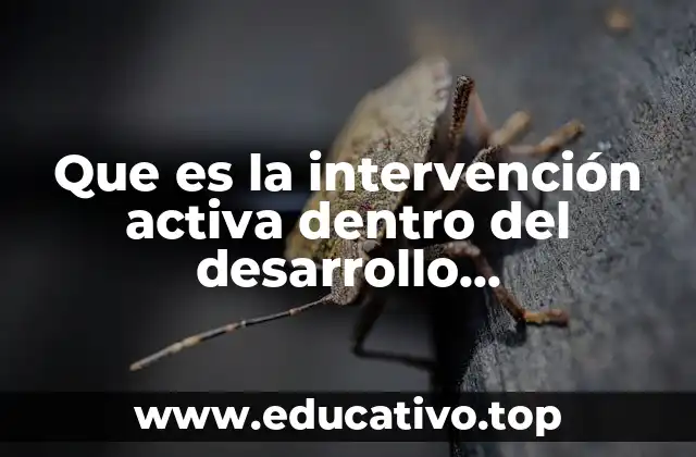 Cómo se aplica la intervención activa en contextos organizacionales