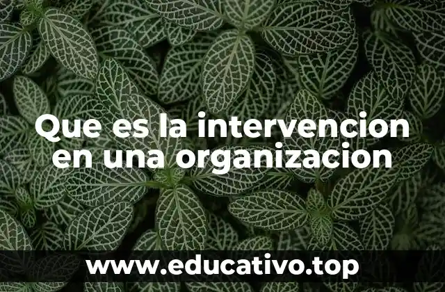 Que es la intervencion en una organizacion
