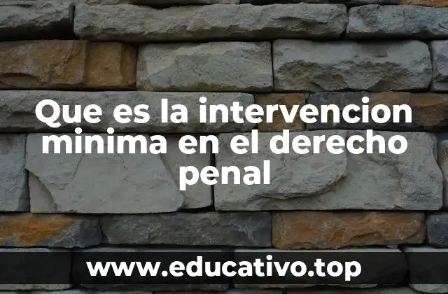 Que es la intervencion minima en el derecho penal
