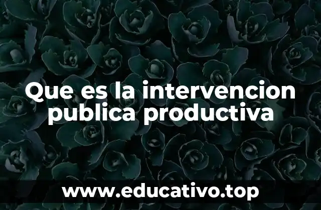 Que es la intervencion publica productiva