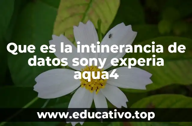 Que es la intinerancia de datos sony experia aqua4
