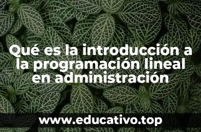 Qué es la introducción a la programación lineal en administración
