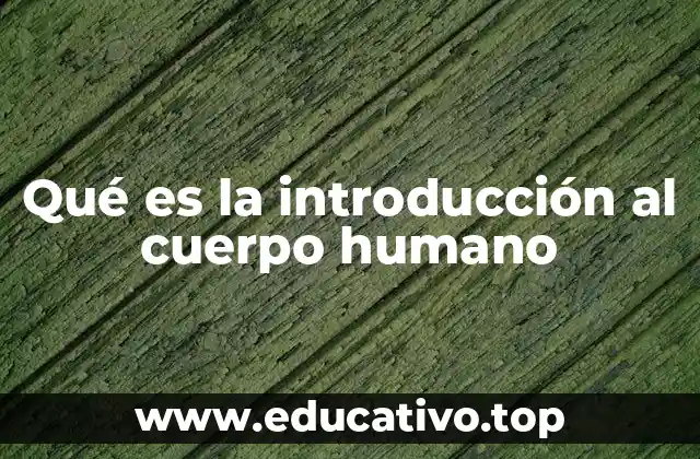Qué es la introducción al cuerpo humano
