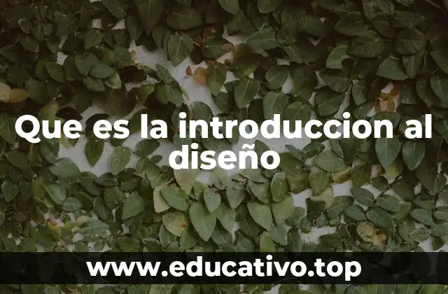 Que es la introduccion al diseño
