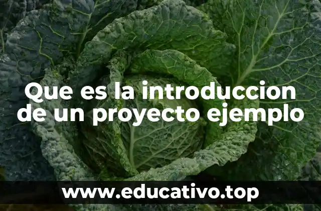 Que es la introduccion de un proyecto ejemplo
