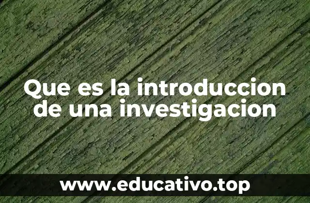 Que es la introduccion de una investigacion