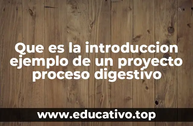 Que es la introduccion ejemplo de un proyecto proceso digestivo