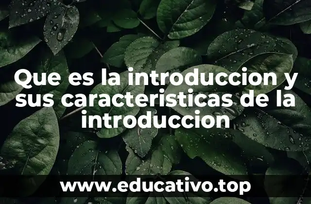 La función esencial de las introducciones en textos escritos