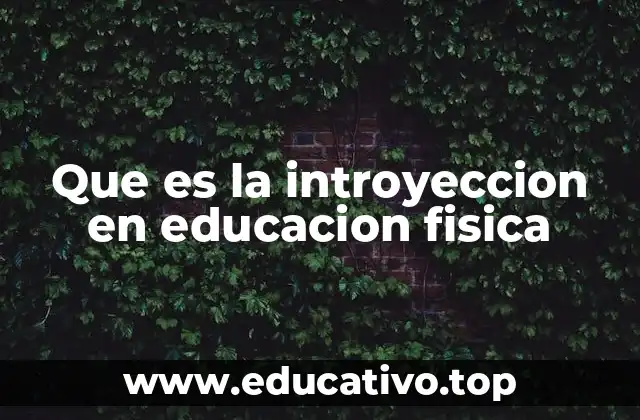 Que es la introyeccion en educacion fisica