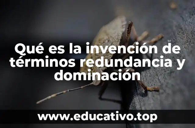 El impacto de la redundancia en la comunicación efectiva