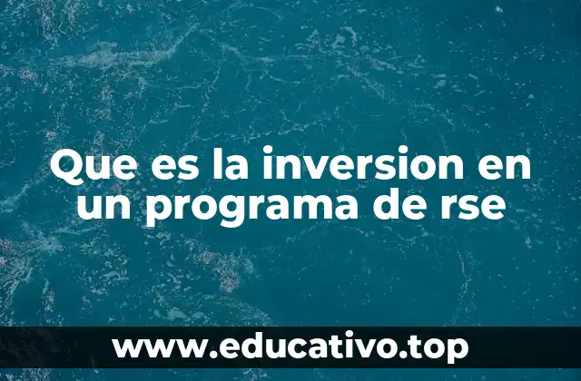 Que es la inversion en un programa de rse