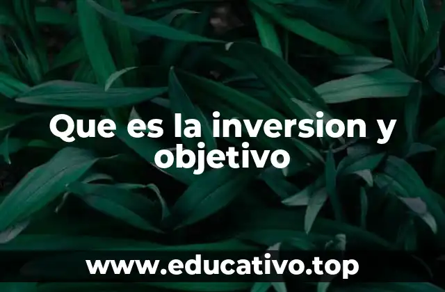 Que es la inversion y objetivo