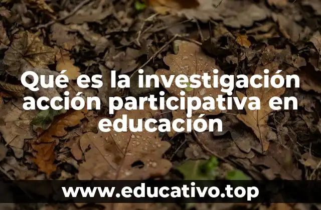 Qué es la investigación acción participativa en educación