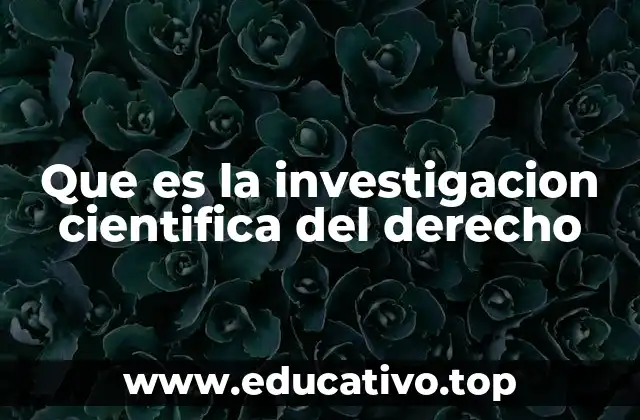 Que es la investigacion cientifica del derecho
