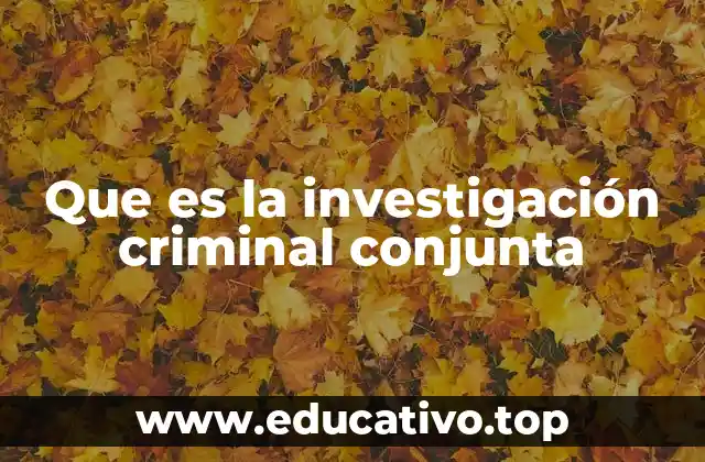 Que es la investigación criminal conjunta