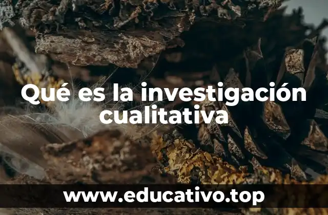 Qué es la investigación cualitativa