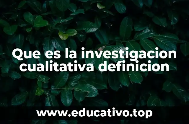 Que es la investigacion cualitativa definicion