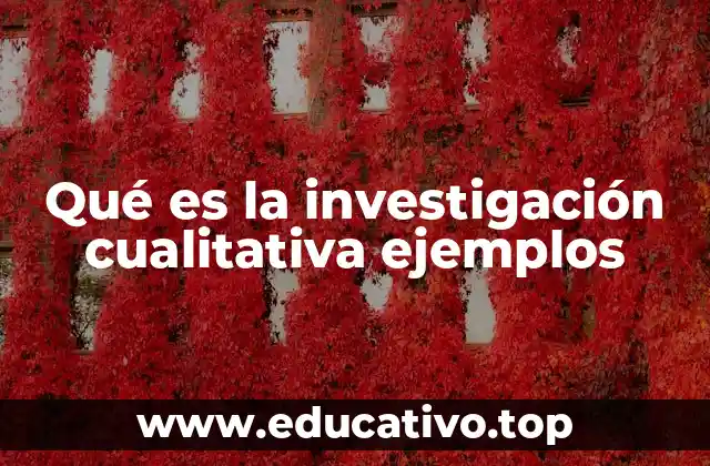 Qué es la investigación cualitativa ejemplos