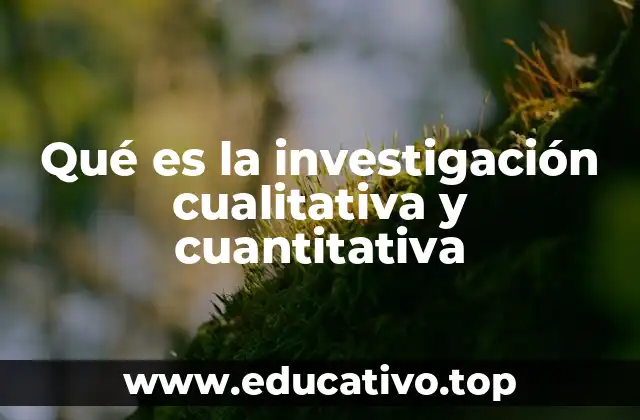 Qué es la investigación cualitativa y cuantitativa