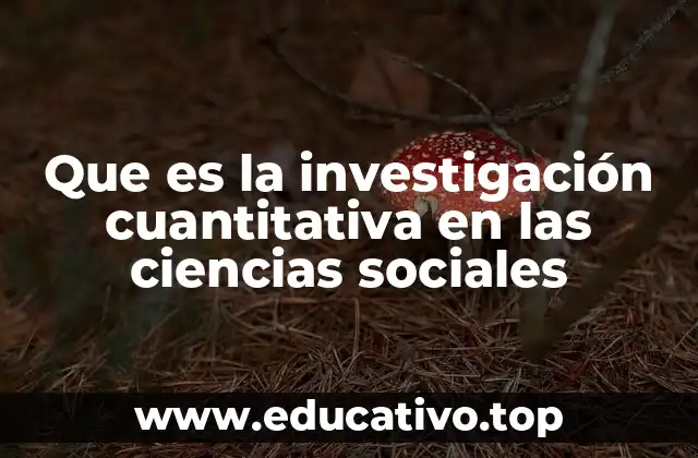 Que es la investigación cuantitativa en las ciencias sociales