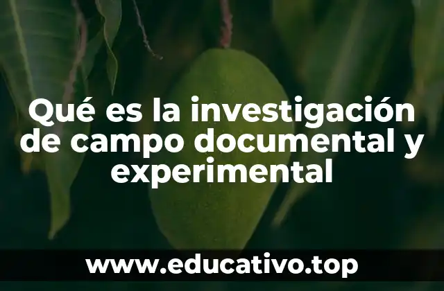 Qué es la investigación de campo documental y experimental