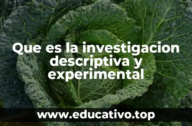 Que es la investigacion descriptiva y experimental