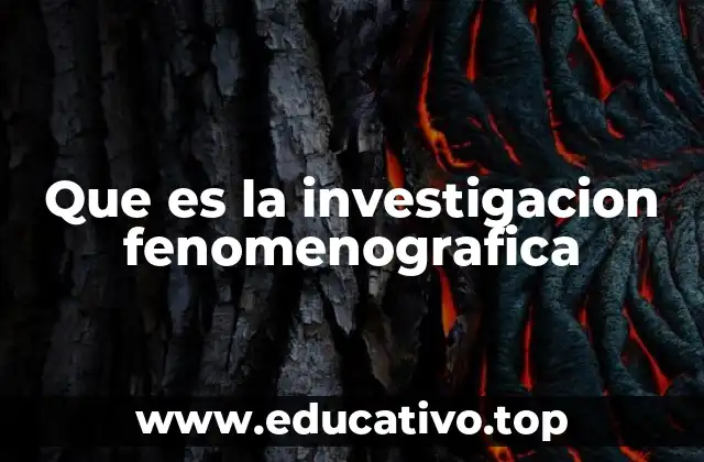 Que es la investigacion fenomenografica