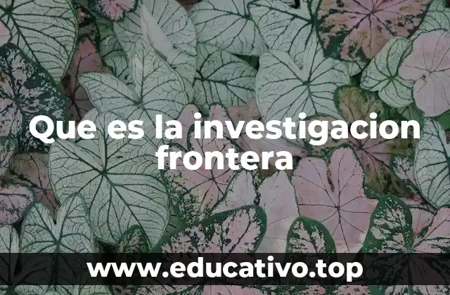 Que es la investigacion frontera