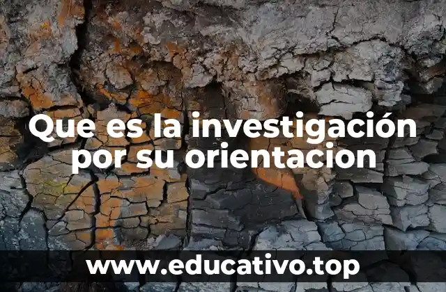 Que es la investigación por su orientacion