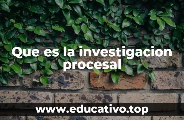 Que es la investigacion procesal
