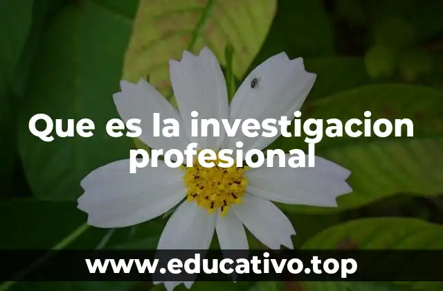 Que es la investigacion profesional