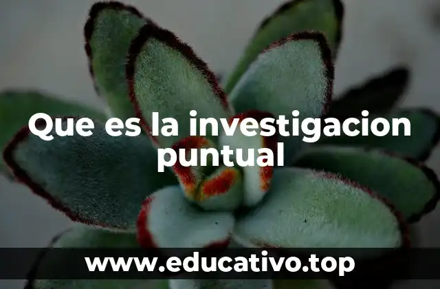 Que es la investigacion puntual