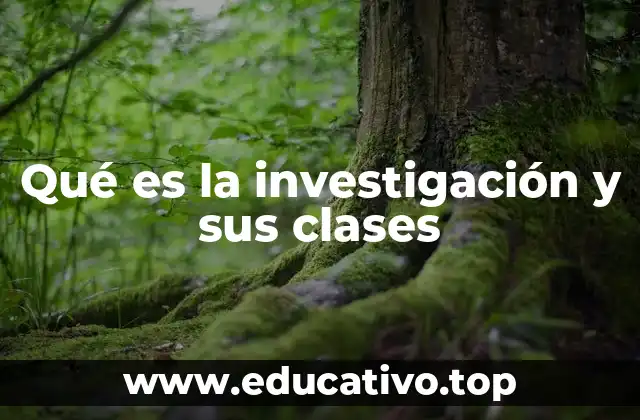 Qué es la investigación y sus clases
