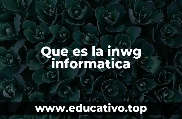 Que es la inwg informatica