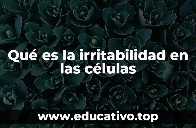 Qué es la irritabilidad en las células