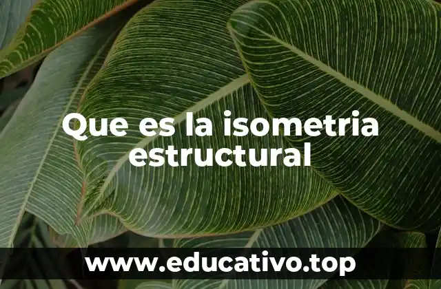 La importancia de la isometría en el diseño estructural
