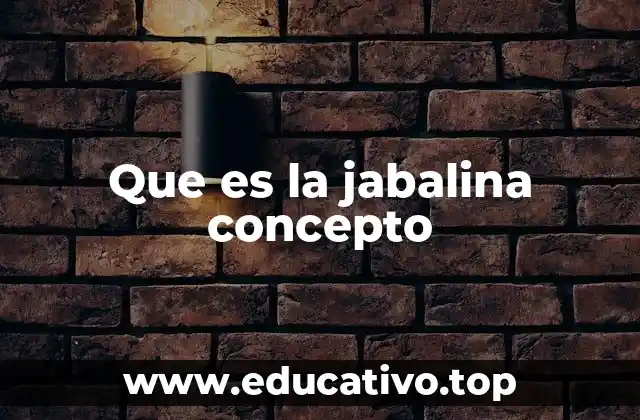 Que es la jabalina concepto