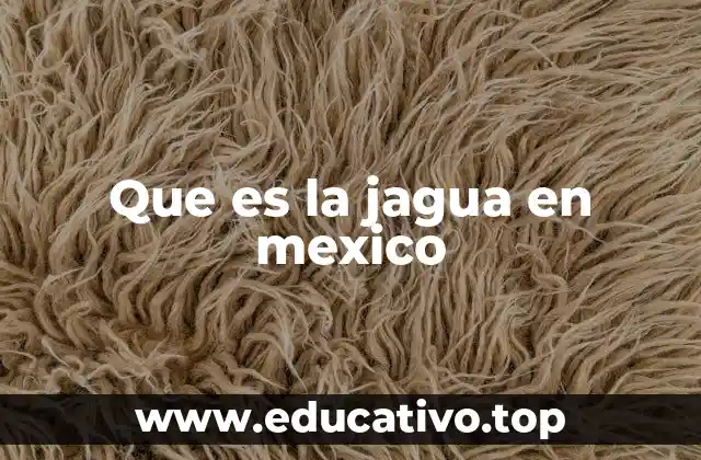 Que es la jagua en mexico