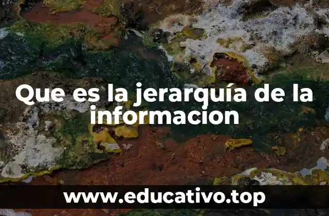 Que es la jerarquía de la informacion