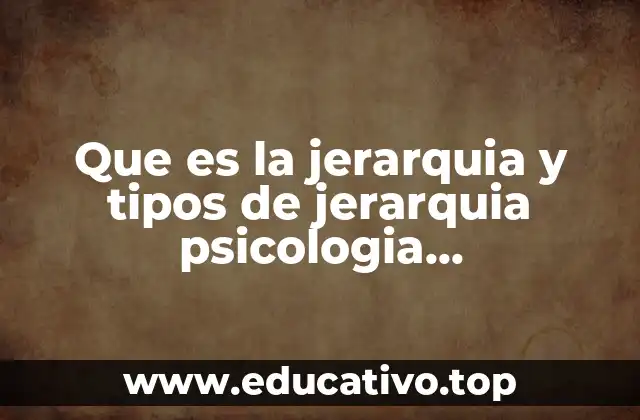 Que es la jerarquia y tipos de jerarquia psicologia organizacional