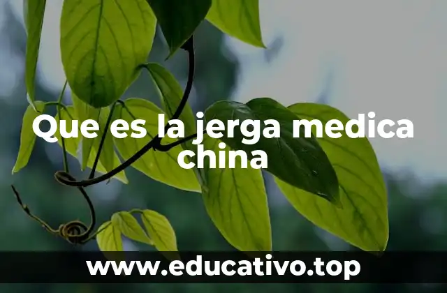 Que es la jerga medica china