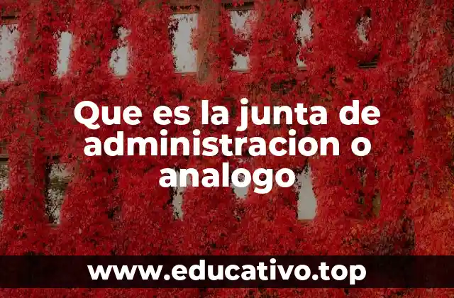 Que es la junta de administracion o analogo