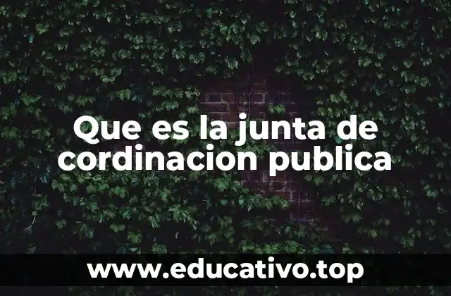Que es la junta de cordinacion publica