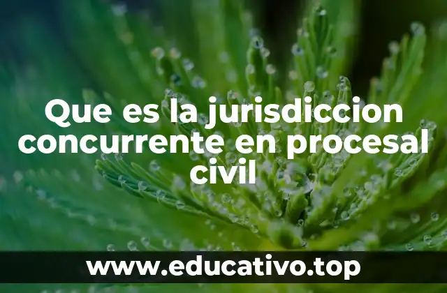 Que es la jurisdiccion concurrente en procesal civil