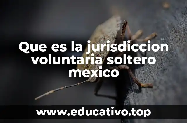 Que es la jurisdiccion voluntaria soltero mexico