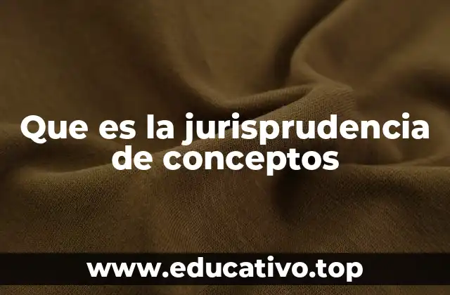 Que es la jurisprudencia de conceptos