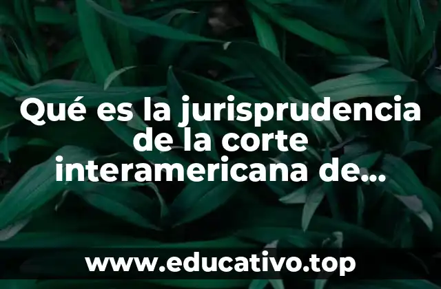 Qué es la jurisprudencia de la corte interamericana de derechos humanos