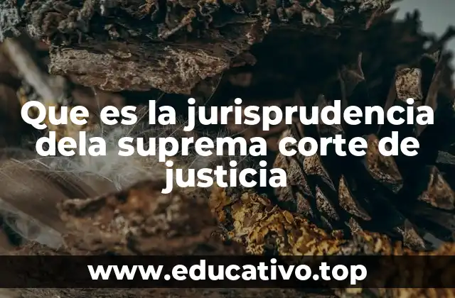 Que es la jurisprudencia dela suprema corte de justicia