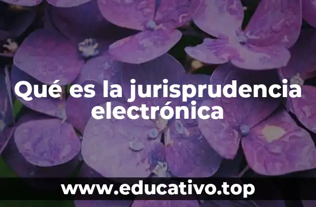 Qué es la jurisprudencia electrónica